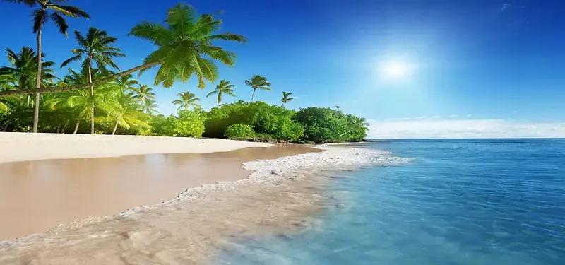 Tropical Beach Paradise